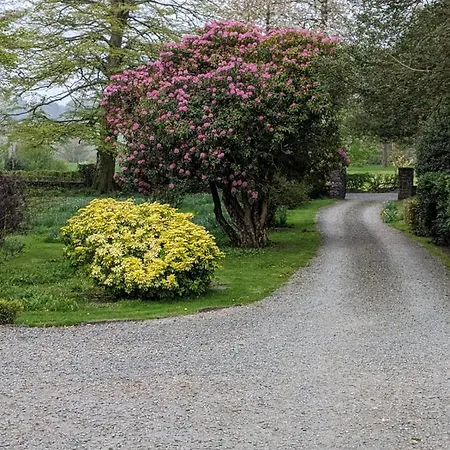 Belmount Hall Vendégház *